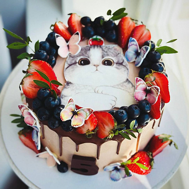 Торт "Котенок" купить - воткинск.сладкоежкин.рф